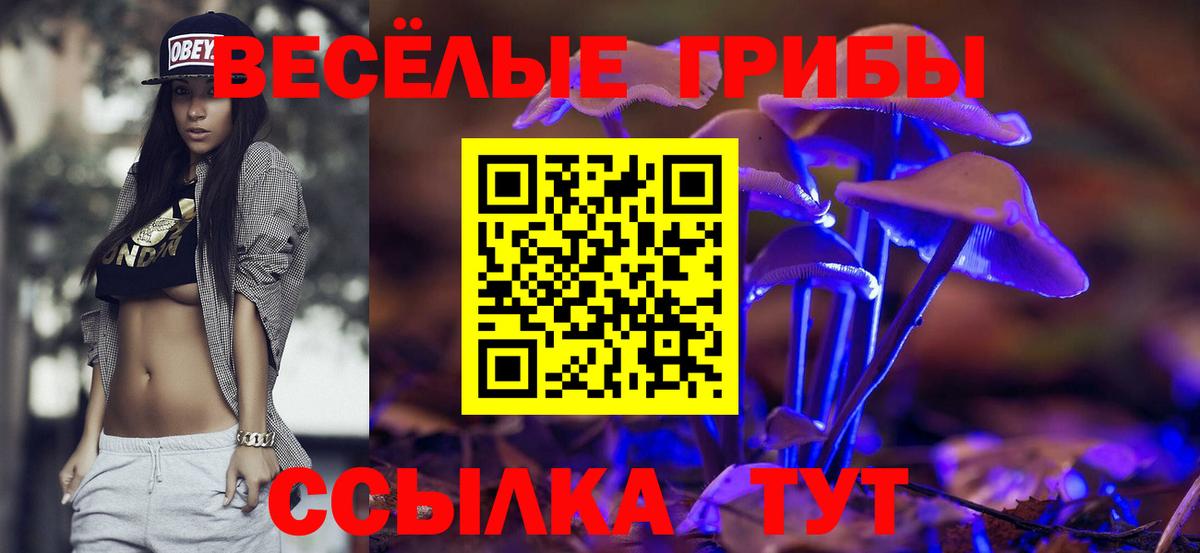 Псилоцибиновые грибы Cubensis  Псилоцибиновые грибы GOLDEN TEACHER  где купить   Вход с VPN  Кстово 