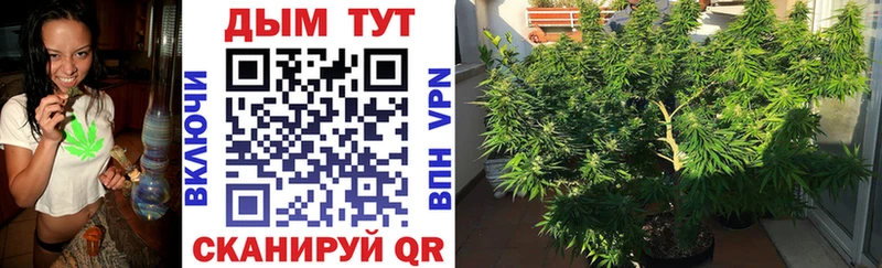 ОМГ ОМГ   Кстово  Конопля SATIVA & INDICA 